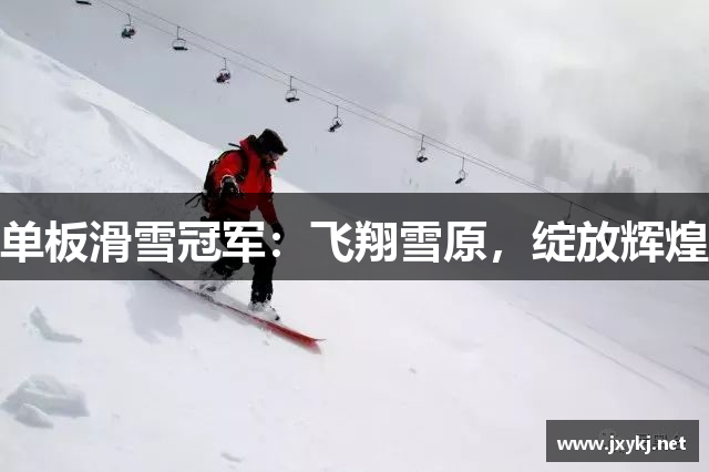 单板滑雪冠军：飞翔雪原，绽放辉煌